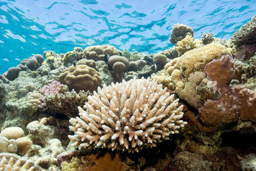 Similar image 8018358