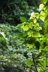 Similar image 8018380