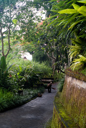 Similar image 8018387