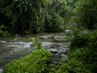 Similar image 8018388