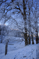 Similar image 8018394