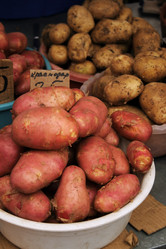 Similar image 8018402