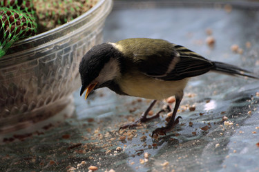 Similar image 8018405