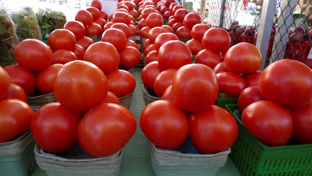 Similar image 8018411