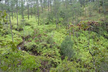 Similar image 8018412