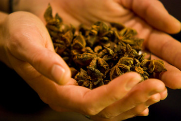 Similar image 8018418