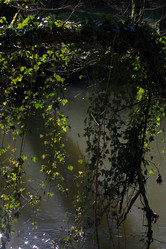 Similar image 8018423