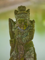 Similar image 8018426