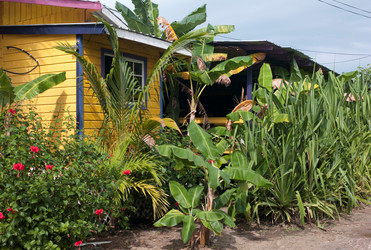 Similar image 8018431