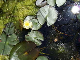 Similar image 8018439