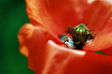 Similar image 8018443