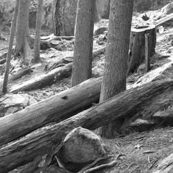 Similar image 8018447