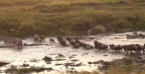 Similar image 8018466