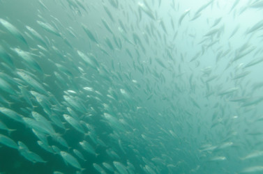 Similar image 8018469