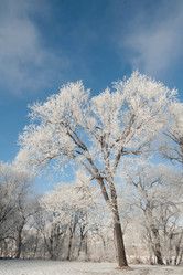 Similar image 8018474