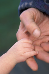 Similar image 8018476