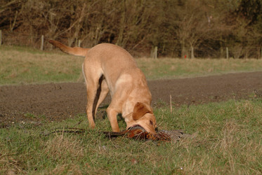 Similar image 8018477