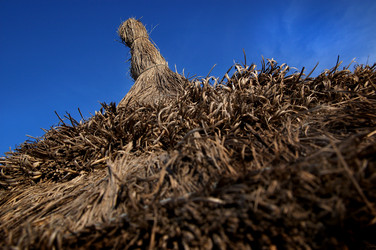 Similar image 8018480