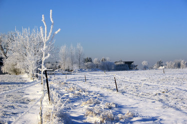 Similar image 8018482