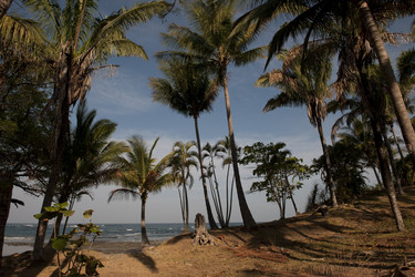 Similar image 8018491