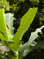 Similar image 8018492