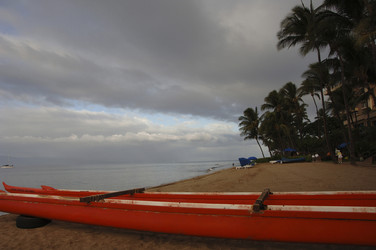 Similar image 8018497