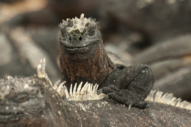 Similar image 8018521