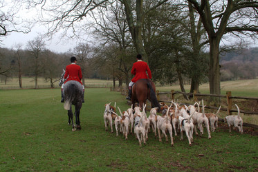 Similar image 8018528