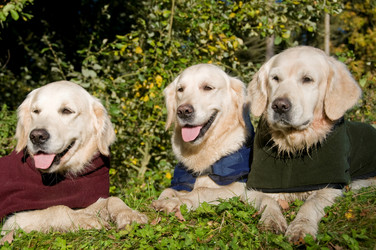 Similar image 8018547