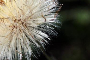 Similar image 8018551