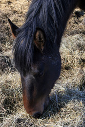 Similar image 8018555