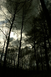 Similar image 8018557