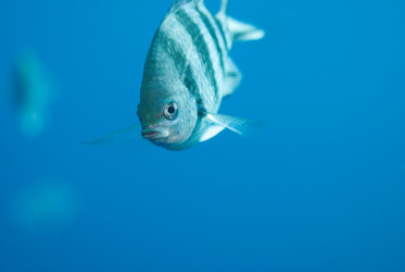 Similar image 8018559