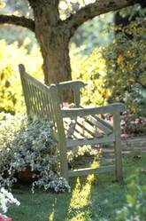 Similar image 8018561