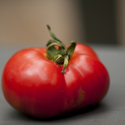 Similar image 8018563