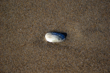 Similar image 8018582