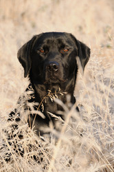 Similar image 8018588