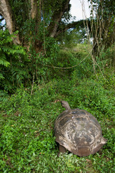 Similar image 8018589