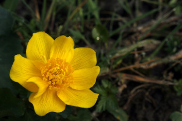 Similar image 8018599