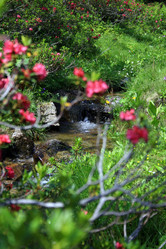 Similar image 8018601