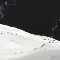 Similar image 8018602