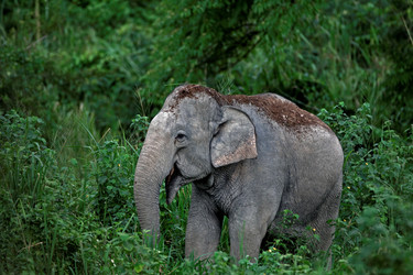 Similar image 8018605