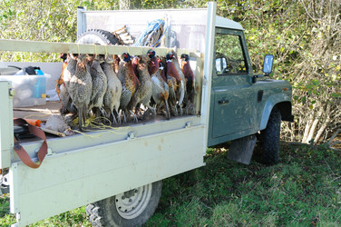 Similar image 8018620