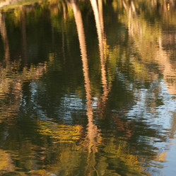 Similar image 8018630