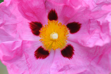 Similar image 8018633