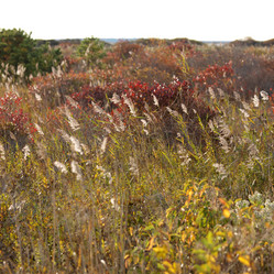 Similar image 8018634