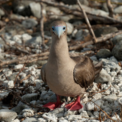 Similar image 8018641