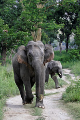 Similar image 8018646