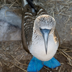 Similar image 8018663