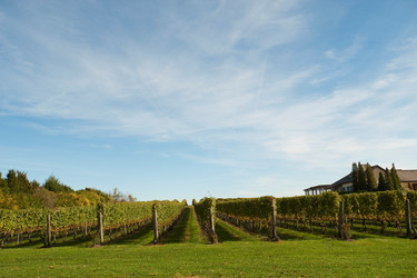 Similar image 8018674